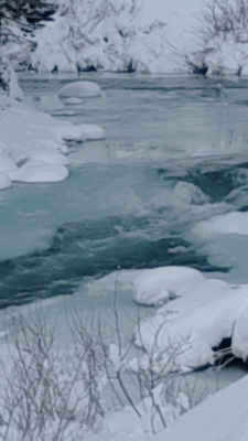 Twisp River 2022.gif (16.39 MiB) Viewed 46539 times Twisp River 05 January 2022