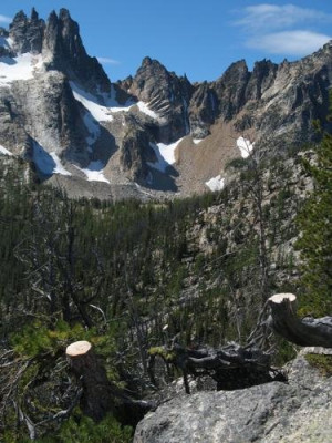 5cd371bcc4e98.image.jpg (51.05 KiB) Viewed 15330 times A "blip"