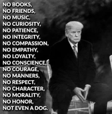 trump2.jpg