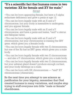 Chromosomes.jpg
