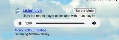 scanner audio on.jpeg